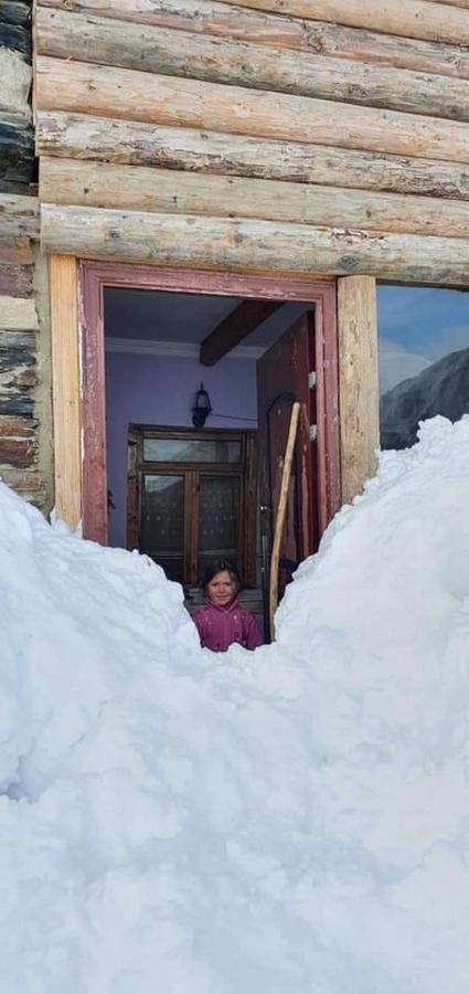 Guesthouse Svanuri Sakhli Ushguli ภายนอก รูปภาพ